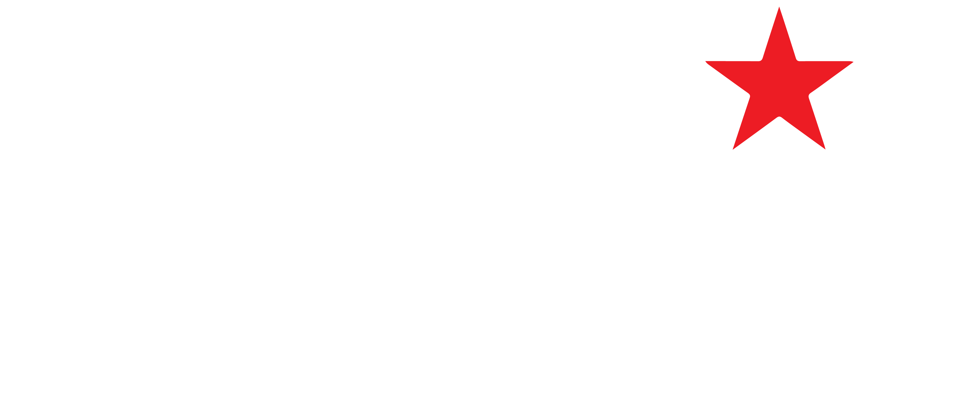 Setas logo(for white background)