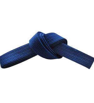 ST-313 Belt