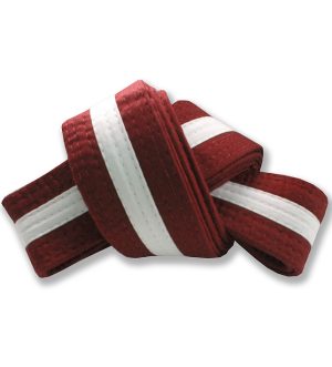 ST-316 Belt