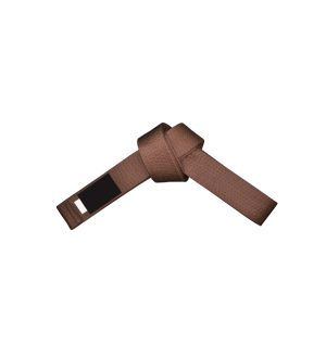 ST-319 Belt