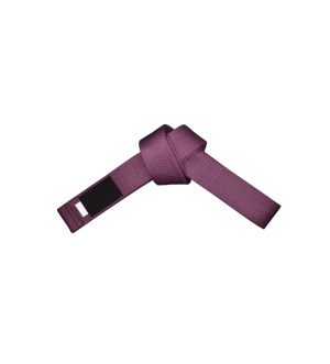 ST-319 Belt