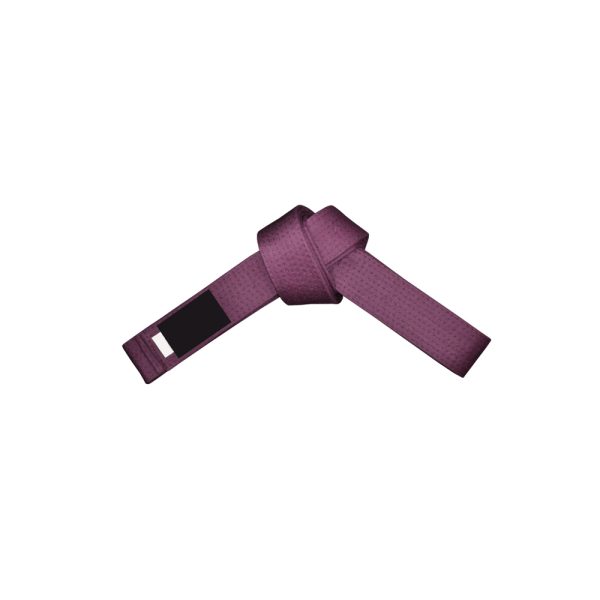 ST-319 Belt - Image 2