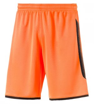 ST-238 Men Workout Shorts